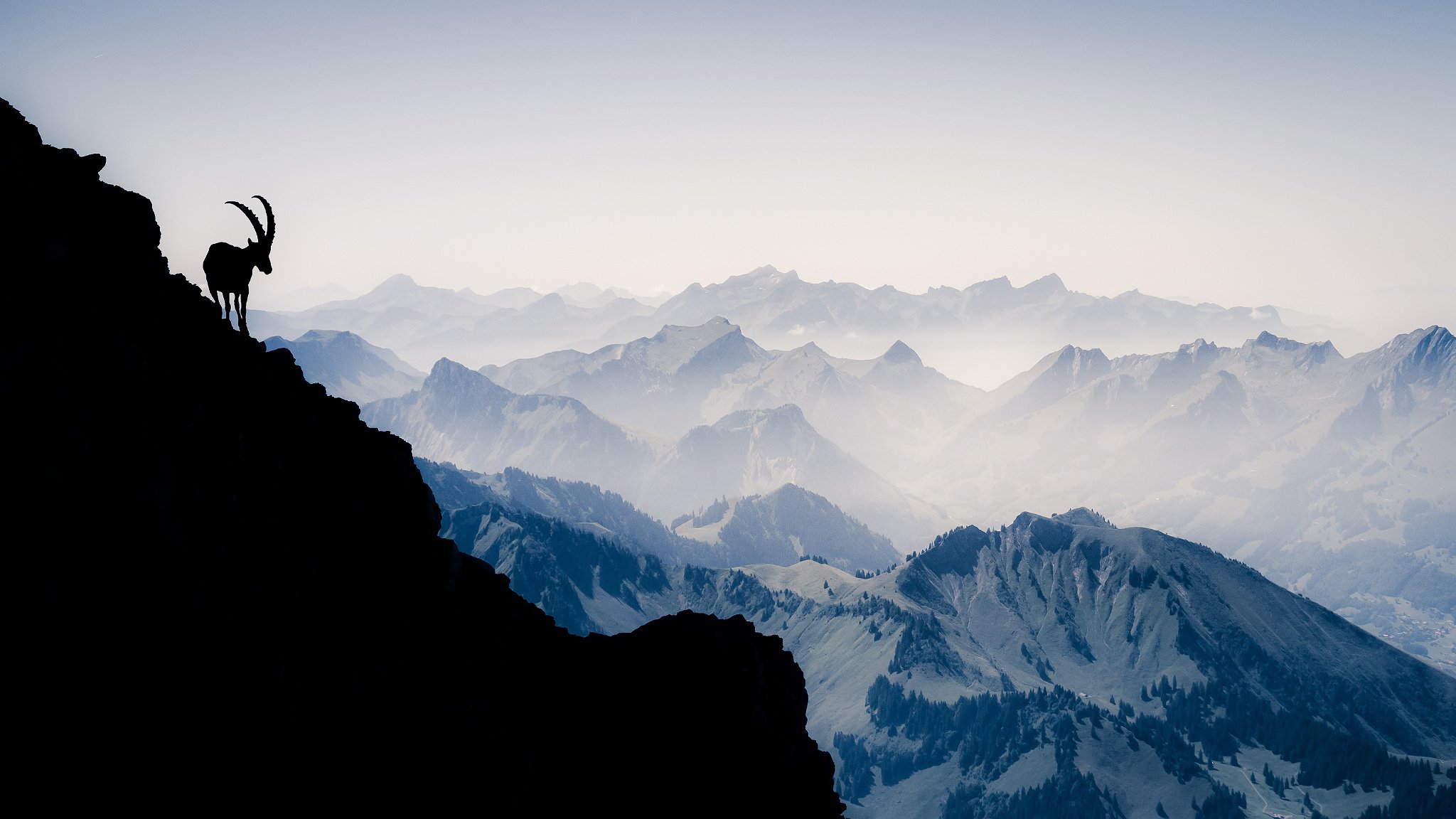 suisse montagnes alpes montagne vanille noire chèvre de montagne silhouette