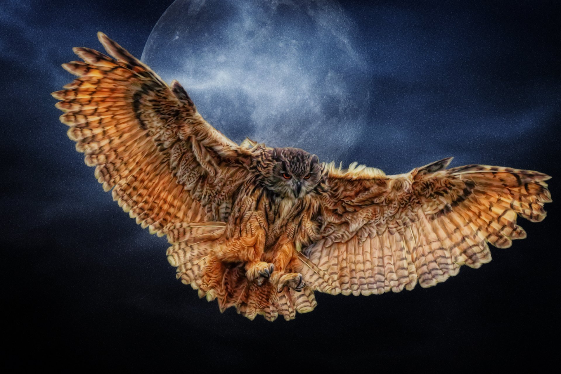 owl wings moon photoshop