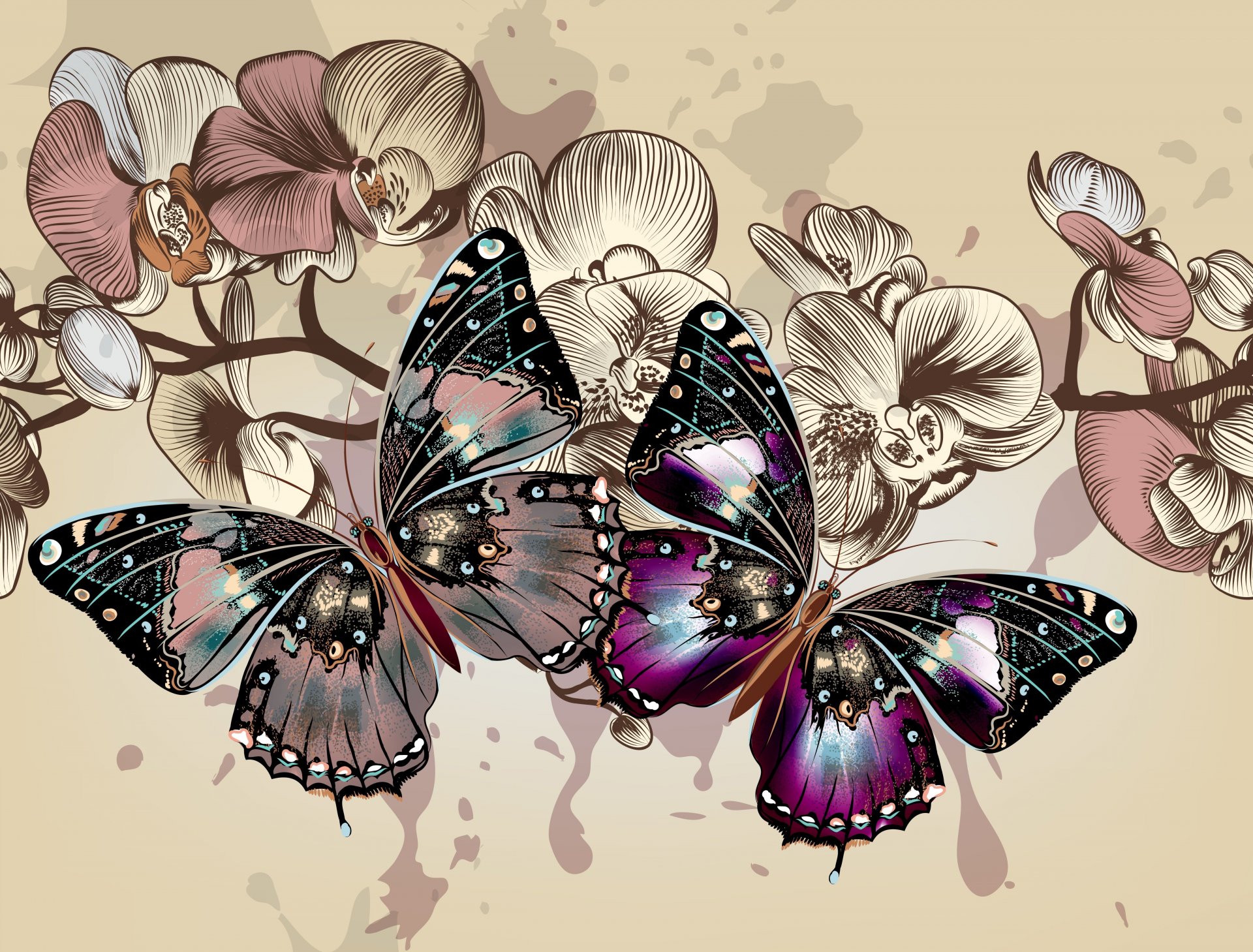 butterfly vector wings flowers flower background