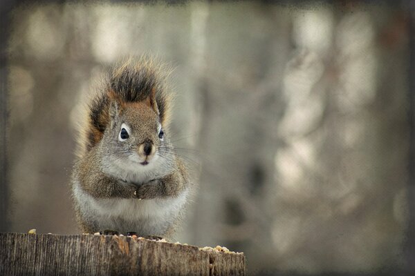 A squirrel on a stump in a fantasy treatment