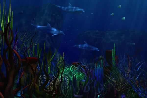 Underwater world with corals