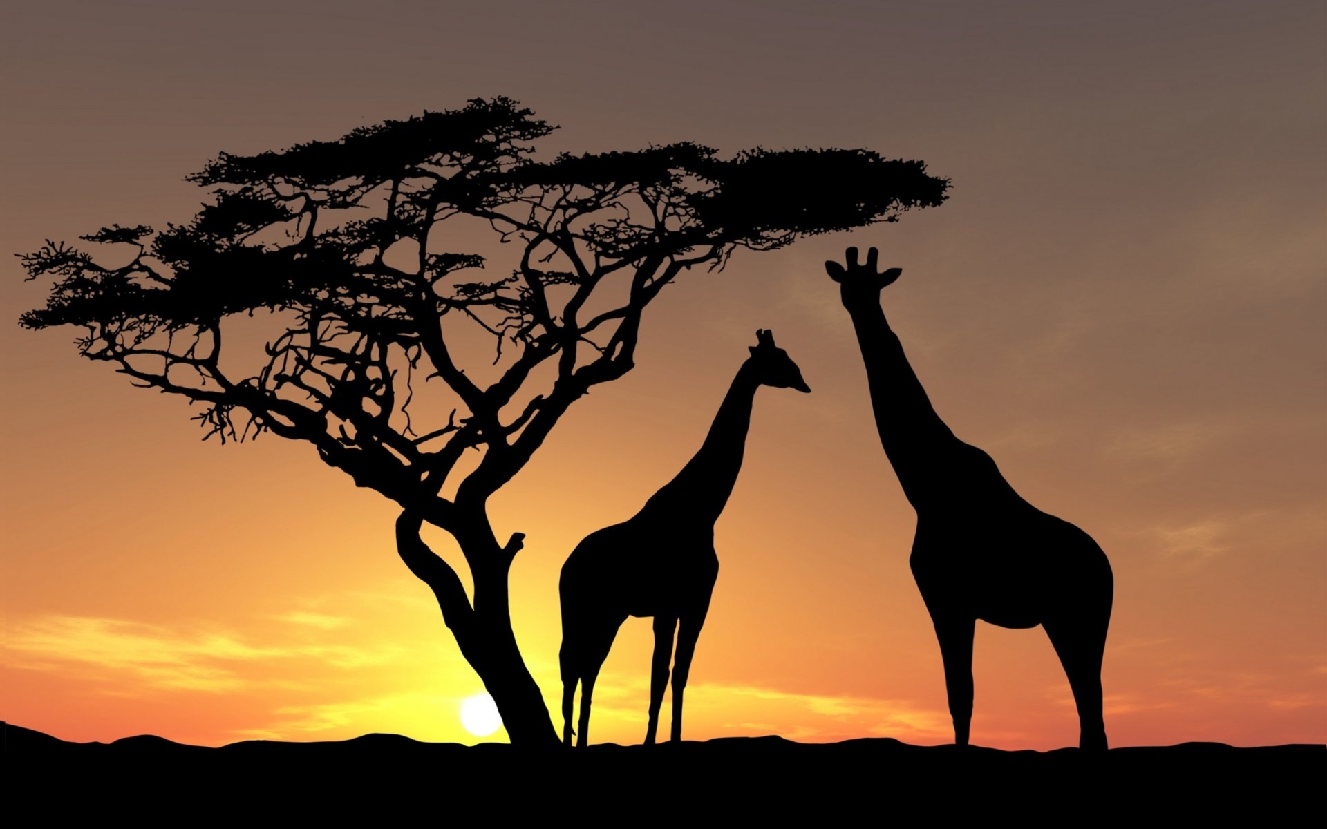 unset shadow animals fauna giraffes africa tree yellow-brown background