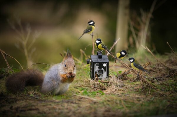 A white man eats a nut in the forest against the background of a camera and a bird