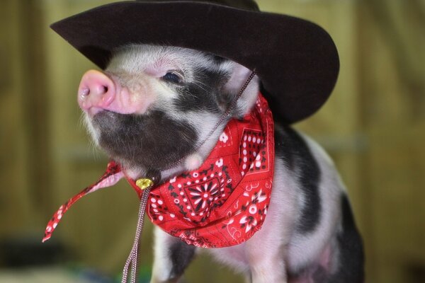 Maialino con cappello da Cowboy Nero