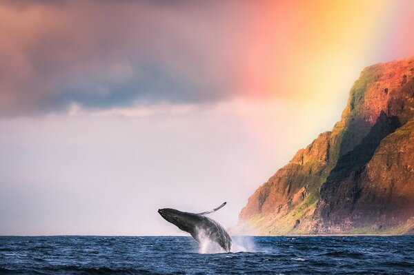 En el océano, una ballena salpica junto a una montaña alta