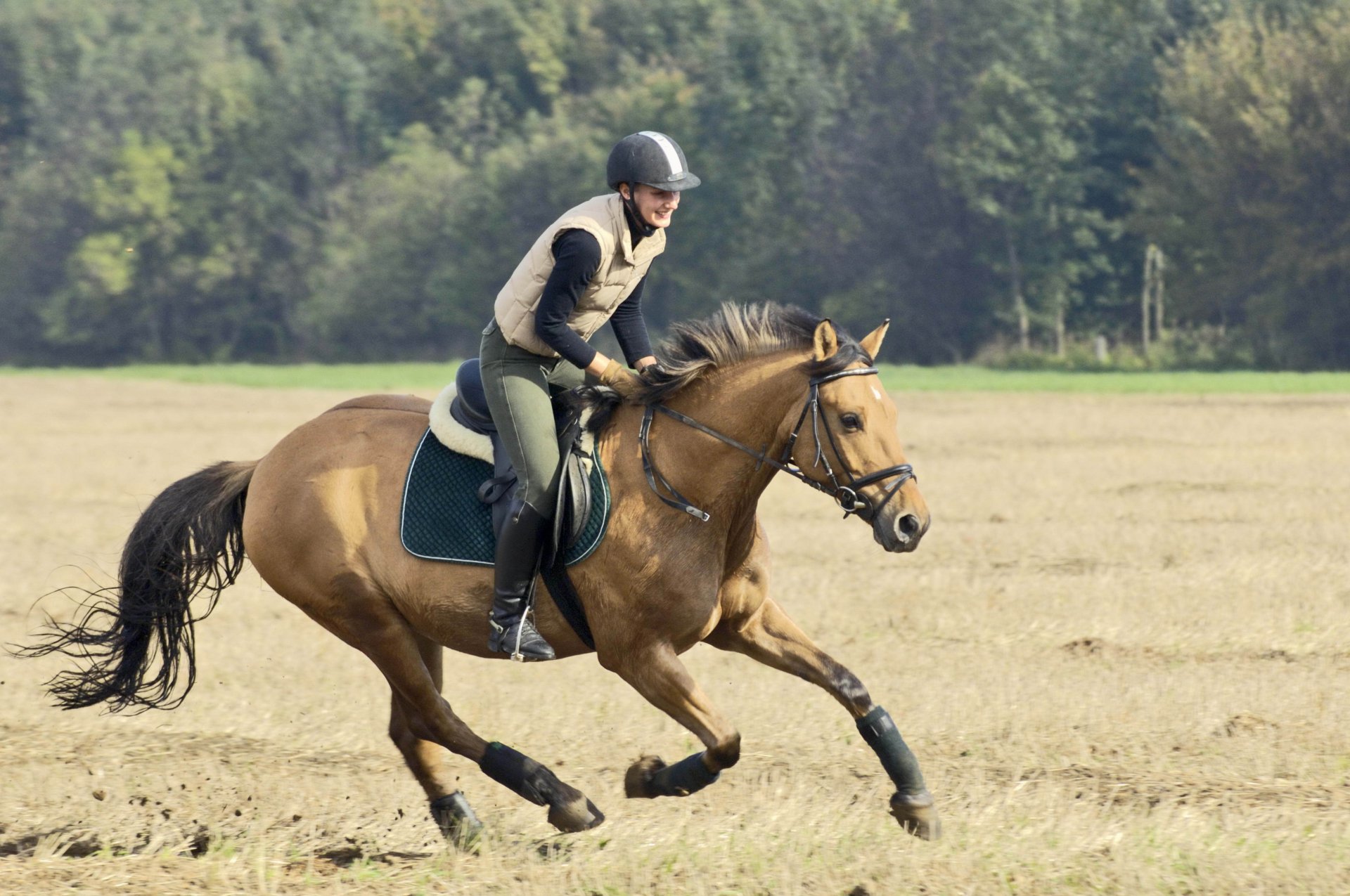 caballo chica jinete correr campo