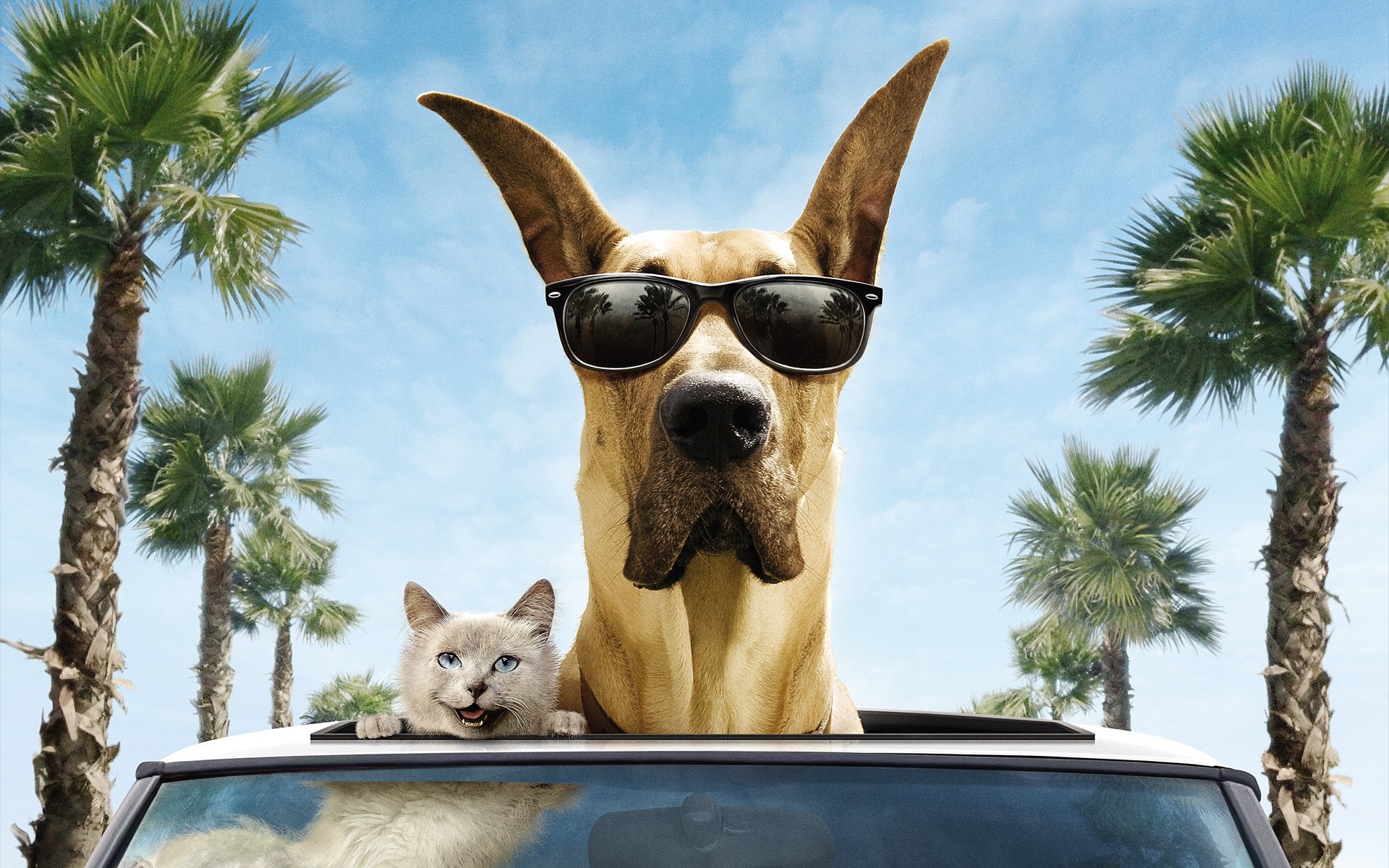 gato perro gran danés sonrisa coche gafas palmeras árboles viento marmaduke marmaduke