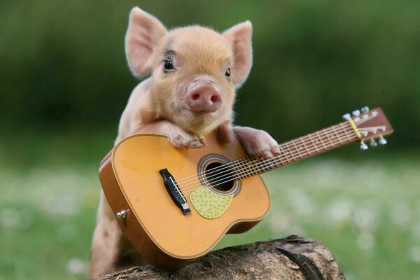 A piglet holds a guitar in a green clearing