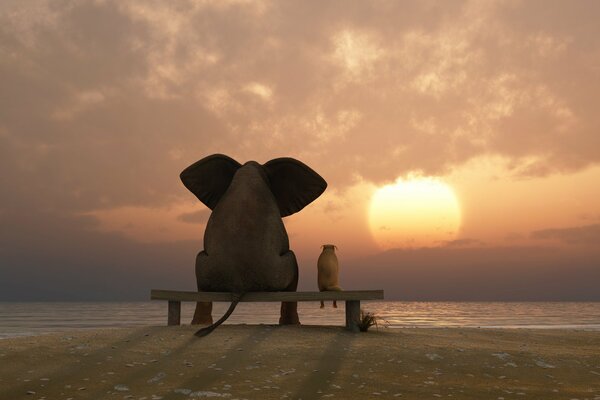 A big elephant and a small dog watch the sunset