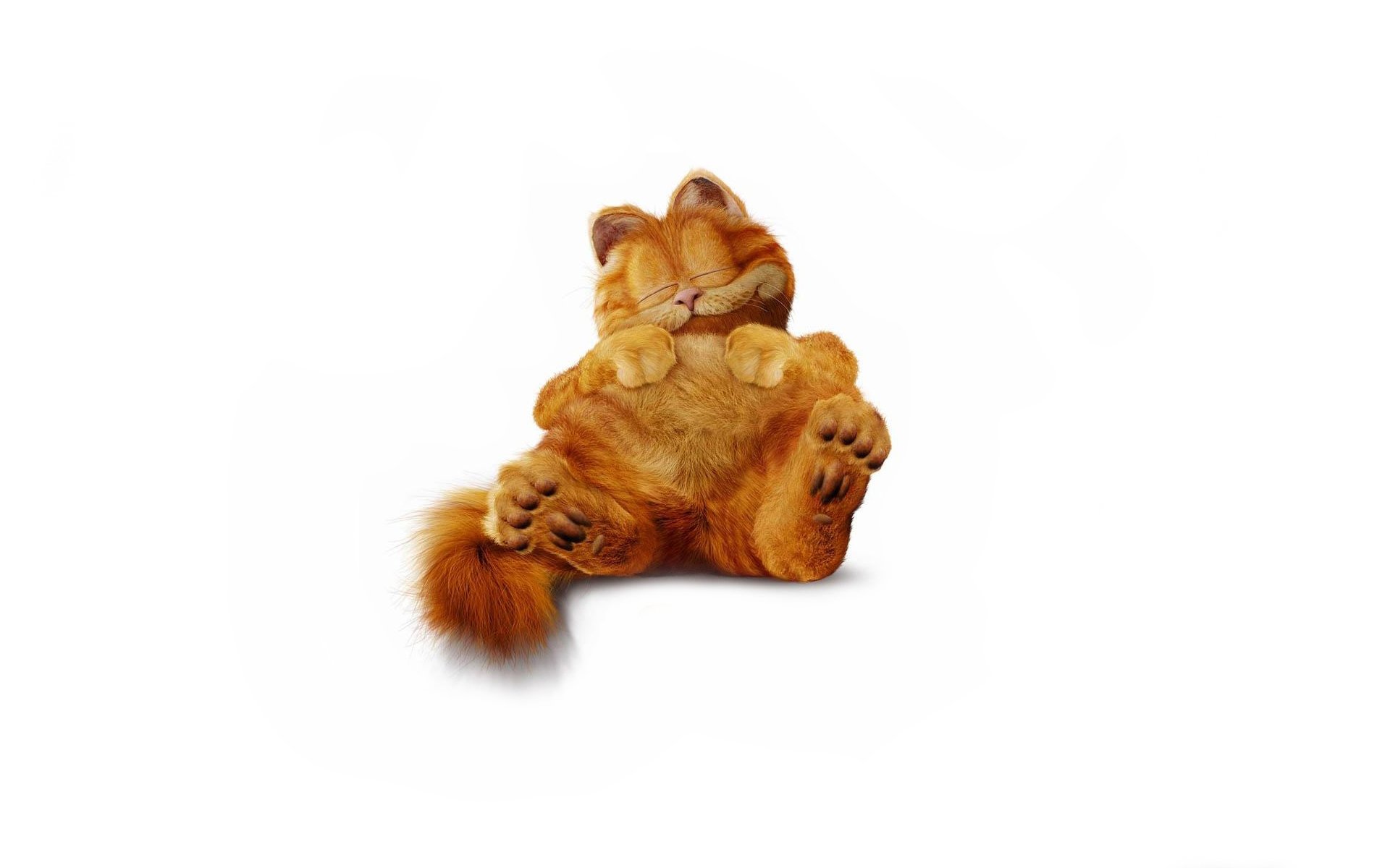 garfield gatto rossa addormentato peloso minimalista