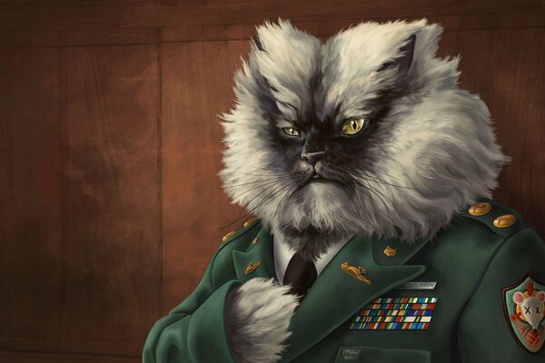 A general with the head of an angry cat