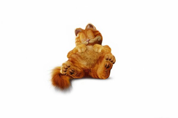 Dormire Garfield su sfondo bianco