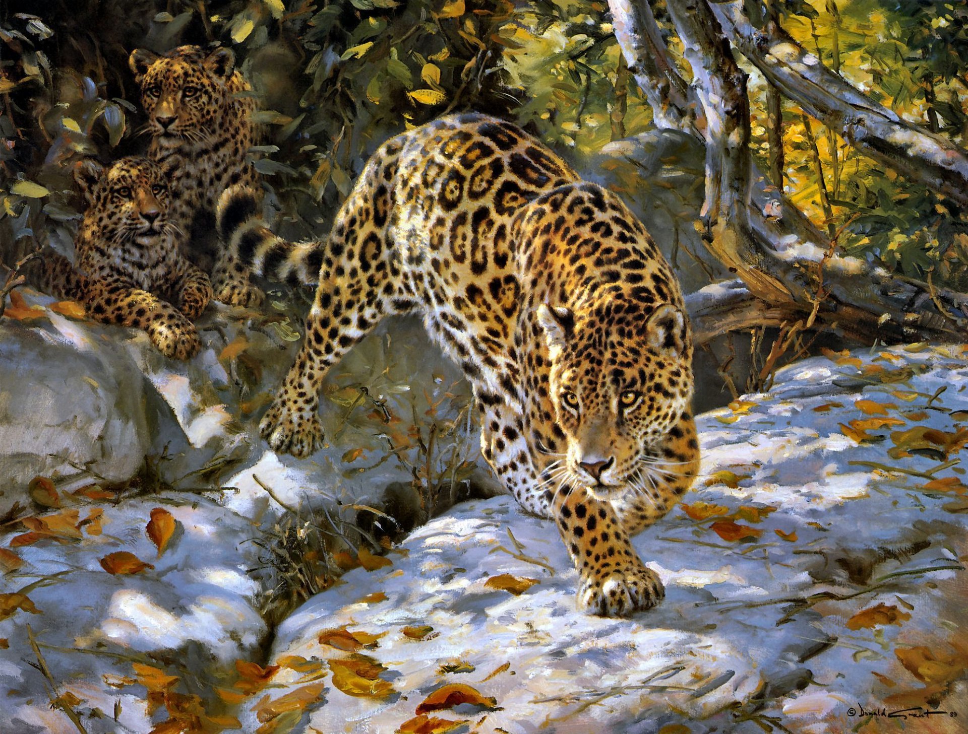 donald grant jaguar autumn art