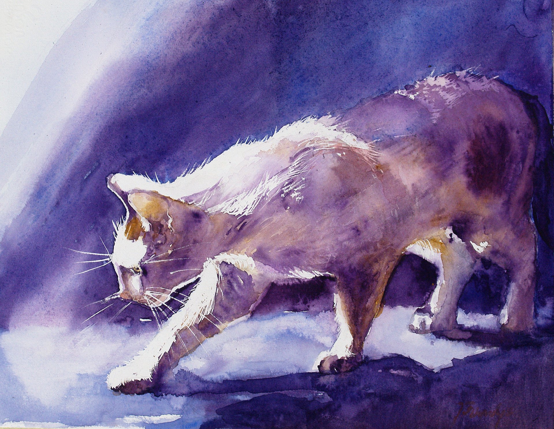 gatos dibujo gouache