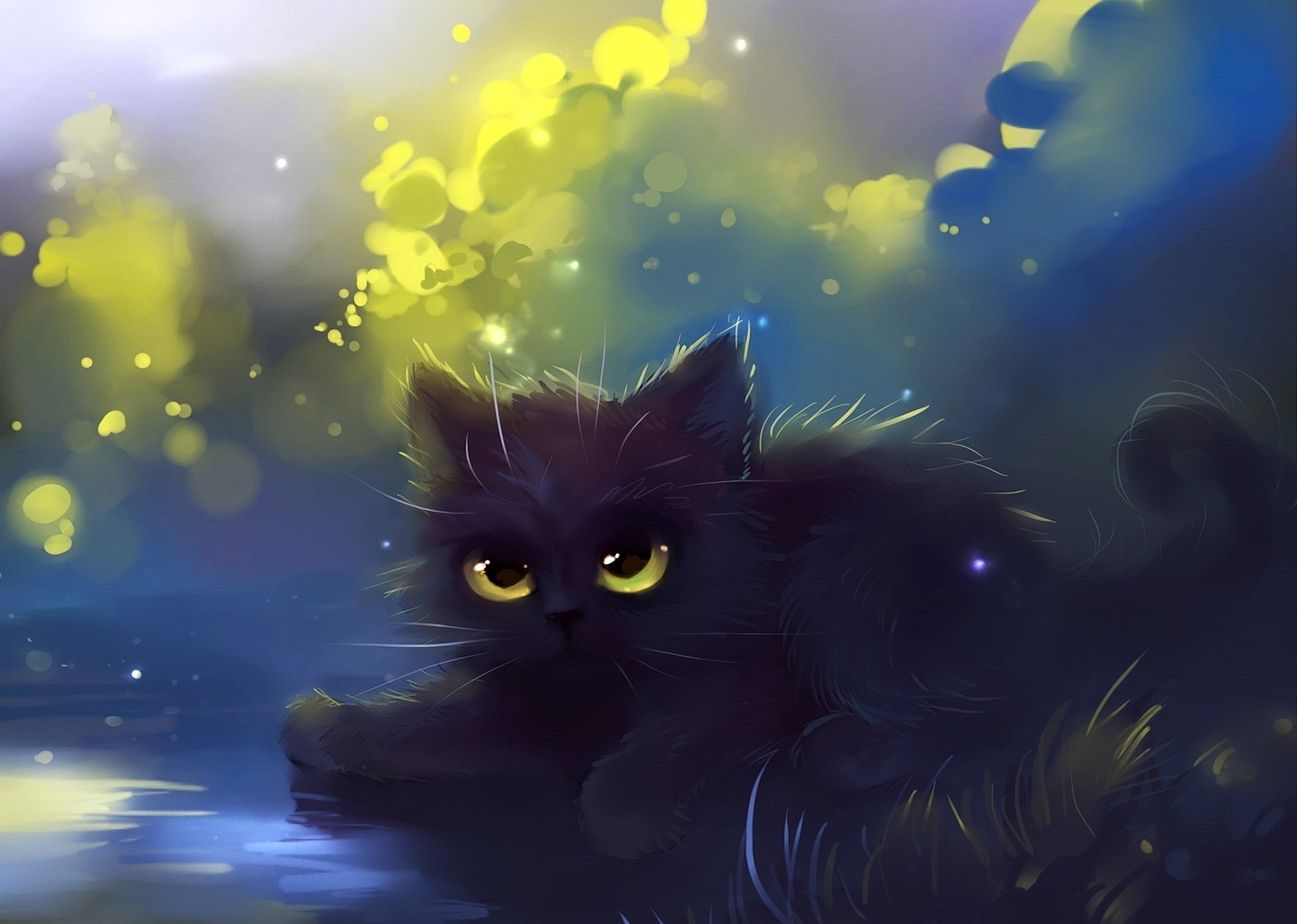 drawing apofiss cat cat kote fluffy gra