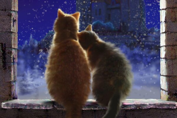 A cat and a cat at the window look at the falling snow