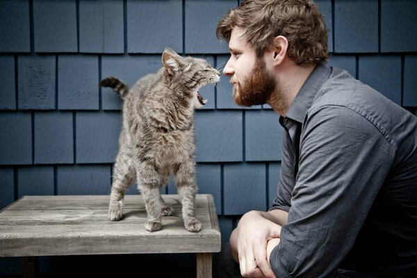 The cat stands on the table and hisses at the sitting man