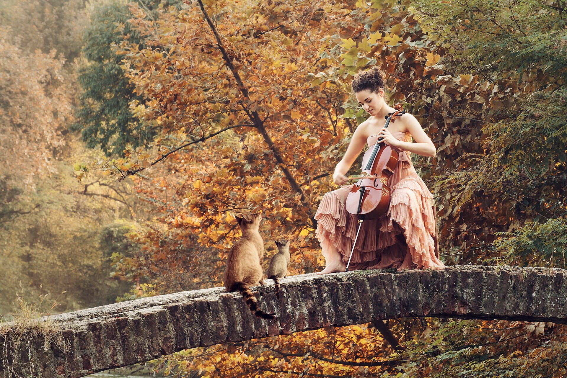 chica puente gatos música