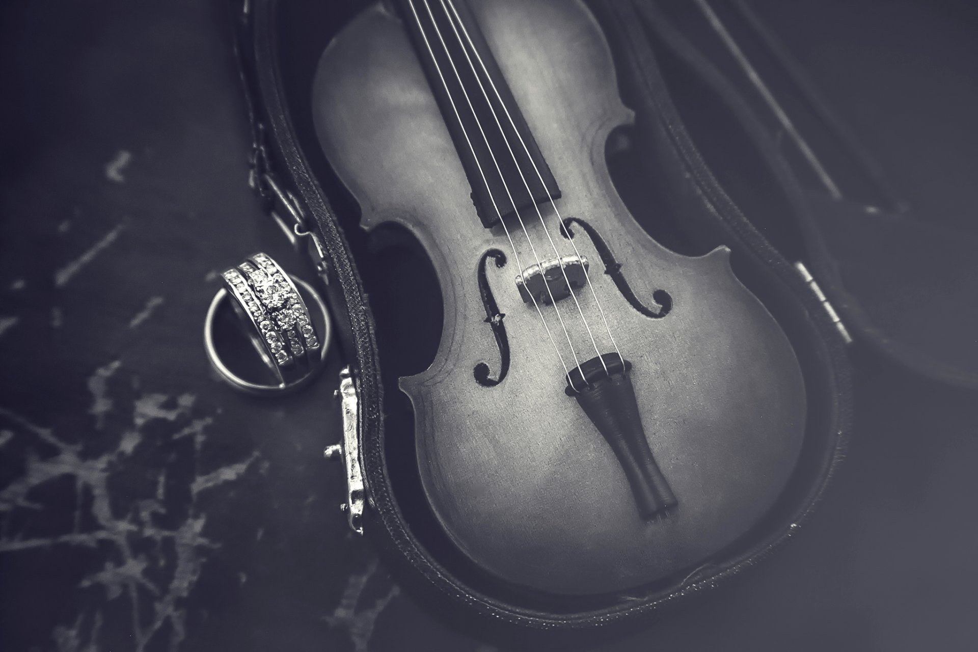 violin close up case