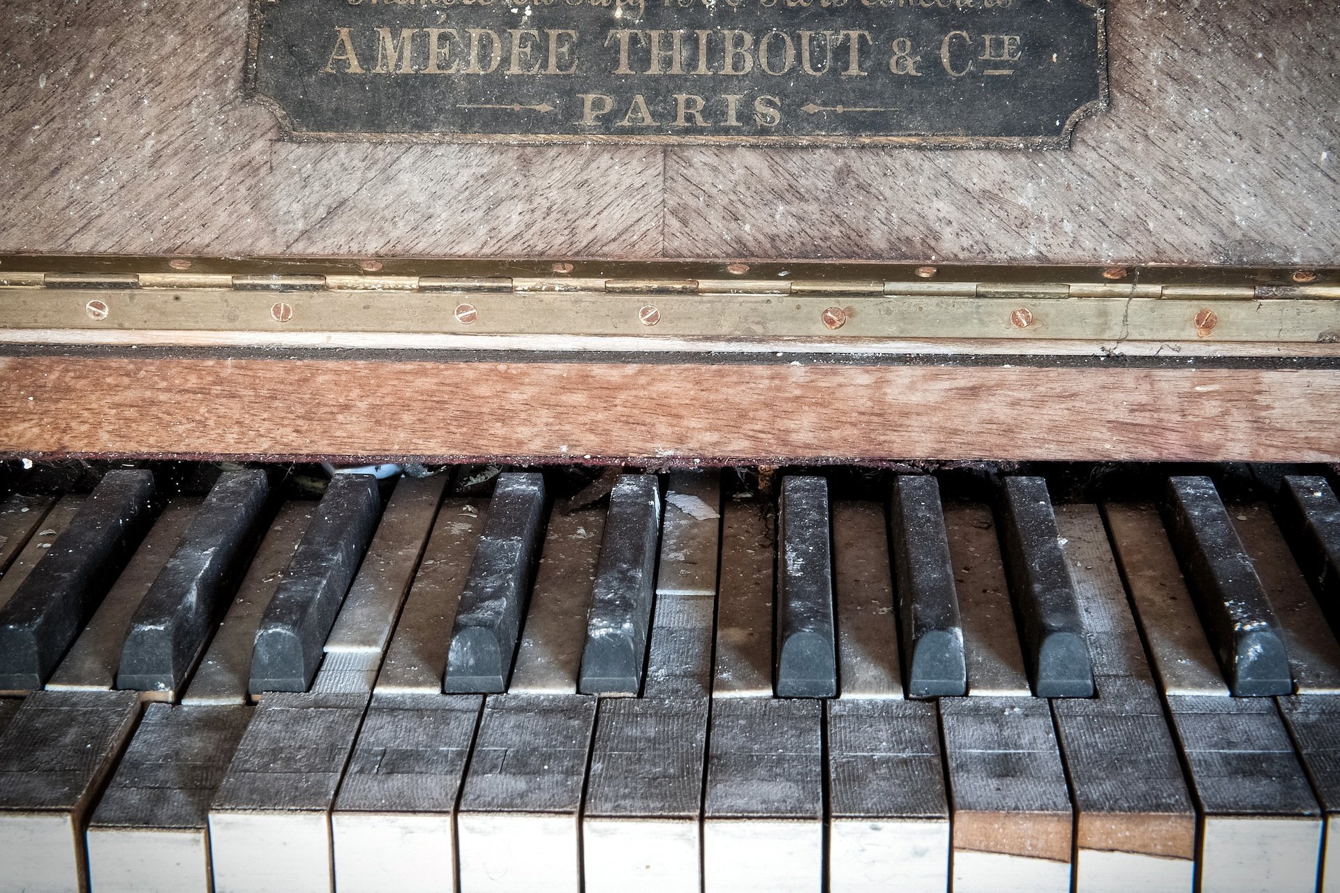 pianoforte musica macro