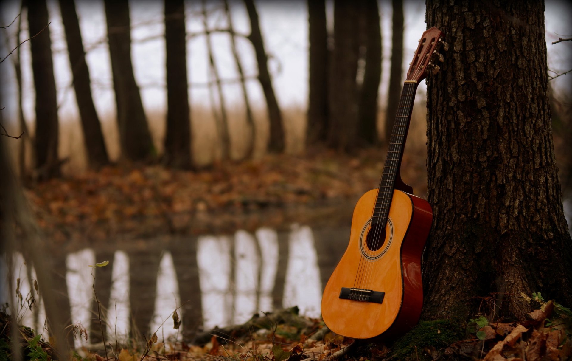 chitarra legno musica