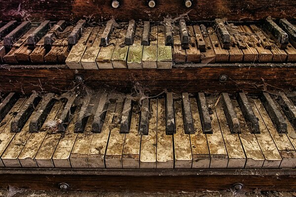 Anciennes touches de l orgue abandonné