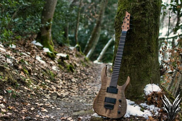 Guitarra contra un árbol en el bosque de otoño