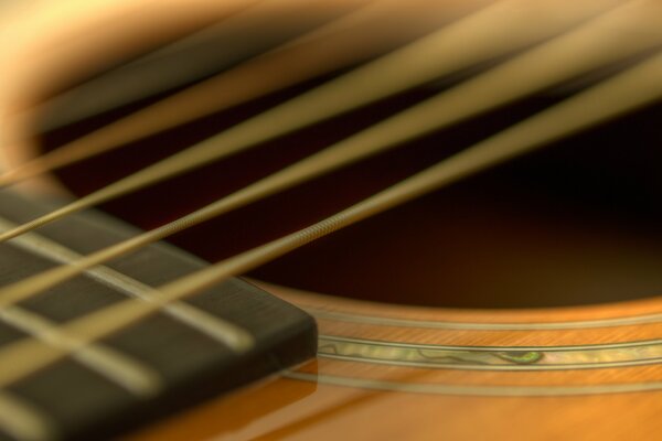 Macro photo of guitar strings