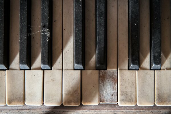 Piano keys top view