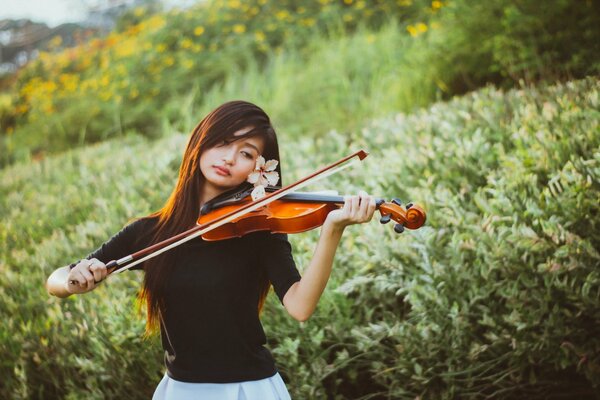 Bella ragazza che suona il violino