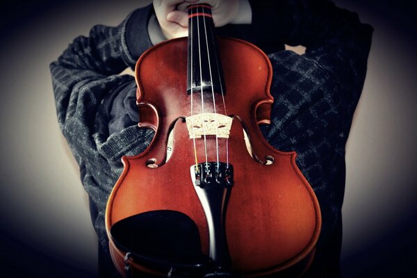 Violon musical sur fond gris