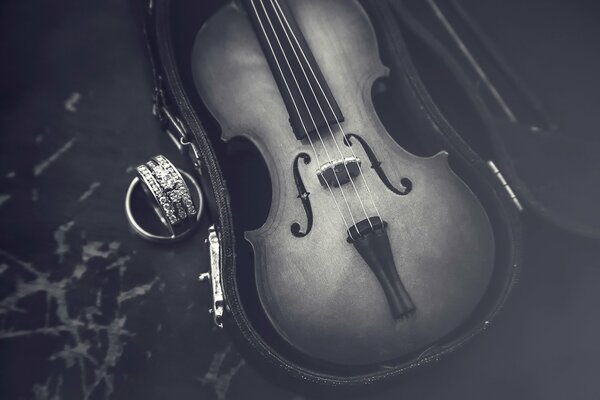 Violin in a case and rings with stones