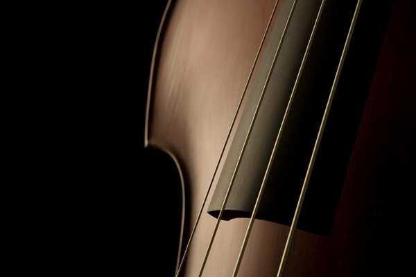 A stringed instrument peeking out of the shadows