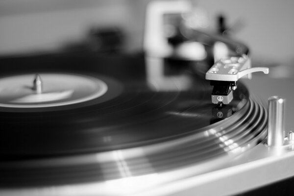 Musikalische Vinylplatten im Regal