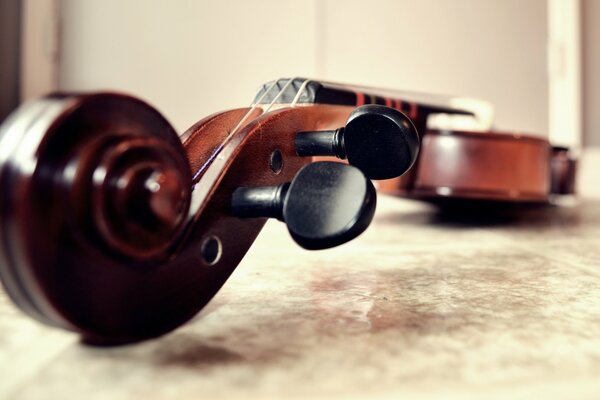 Wonderful elements of a slender violin