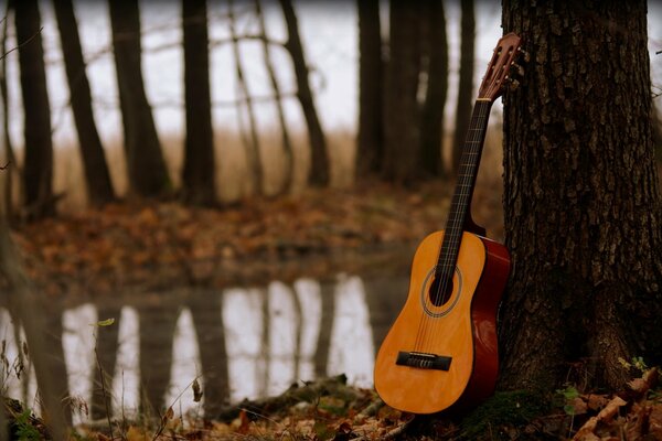 Eine Gitarre steht neben einem Baum