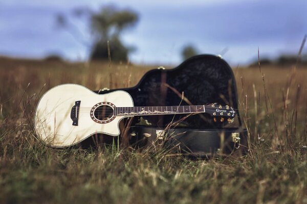 Background with guitar on the field