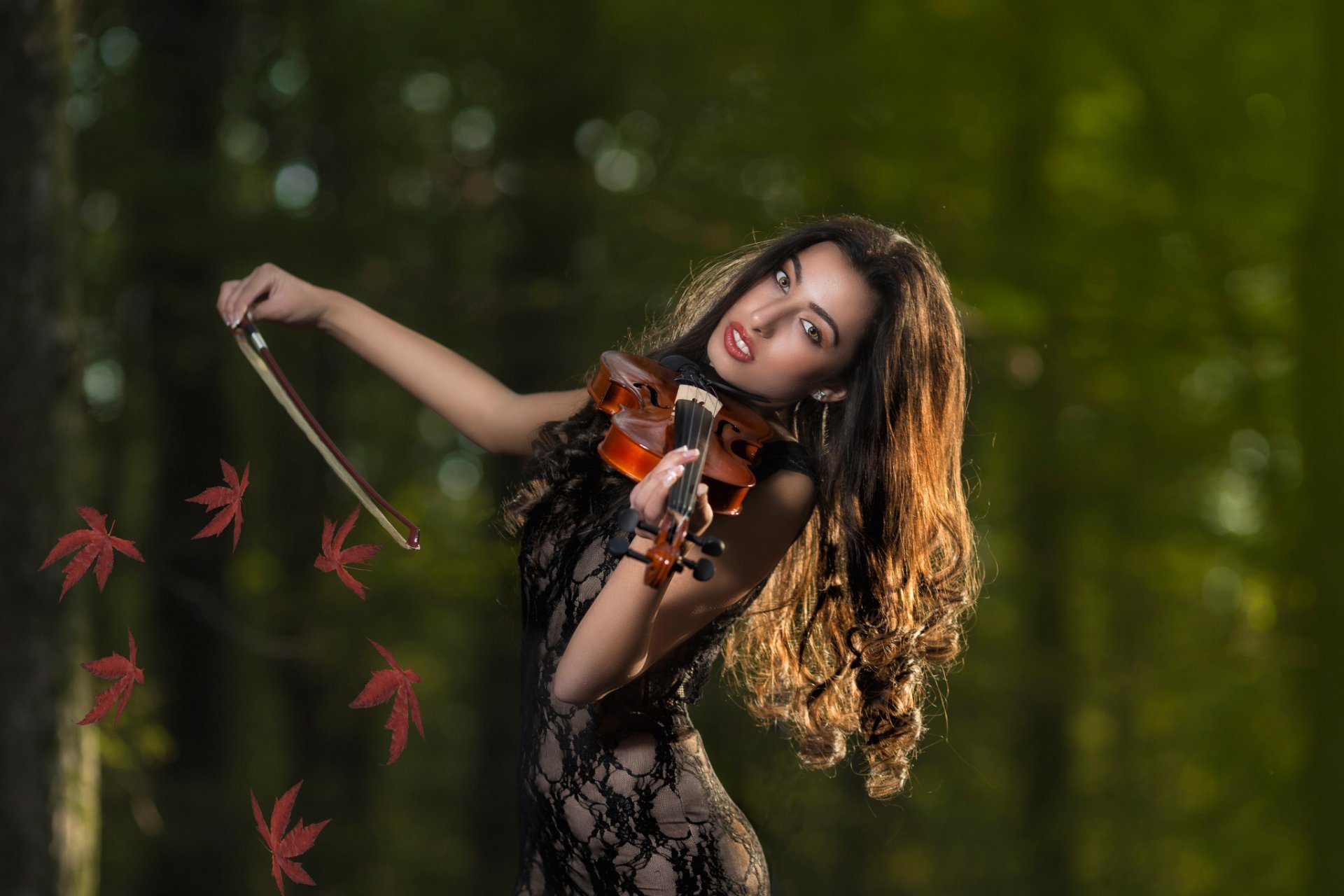 melodía de otoño violinista violín hojas