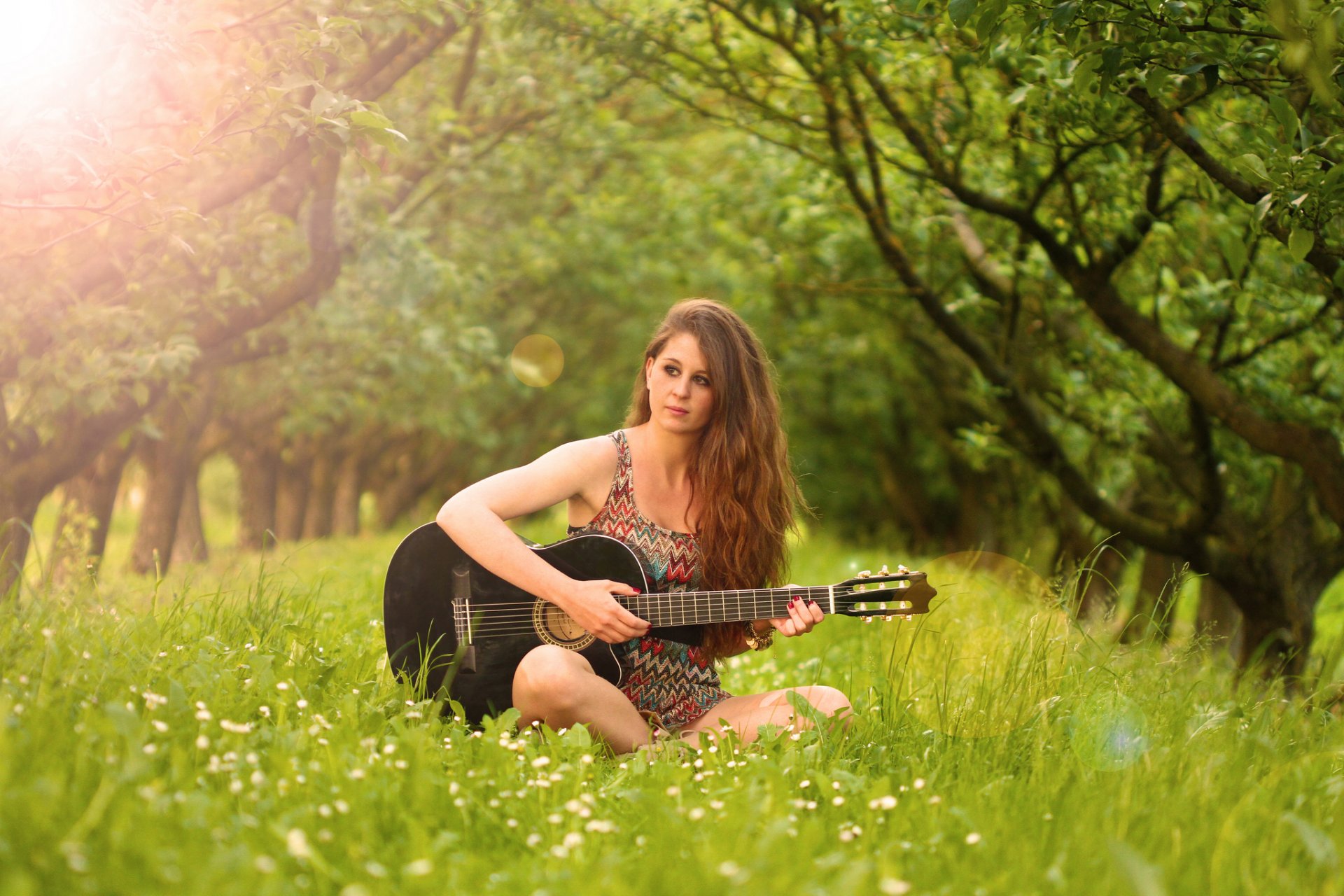 fanny chitarra musica