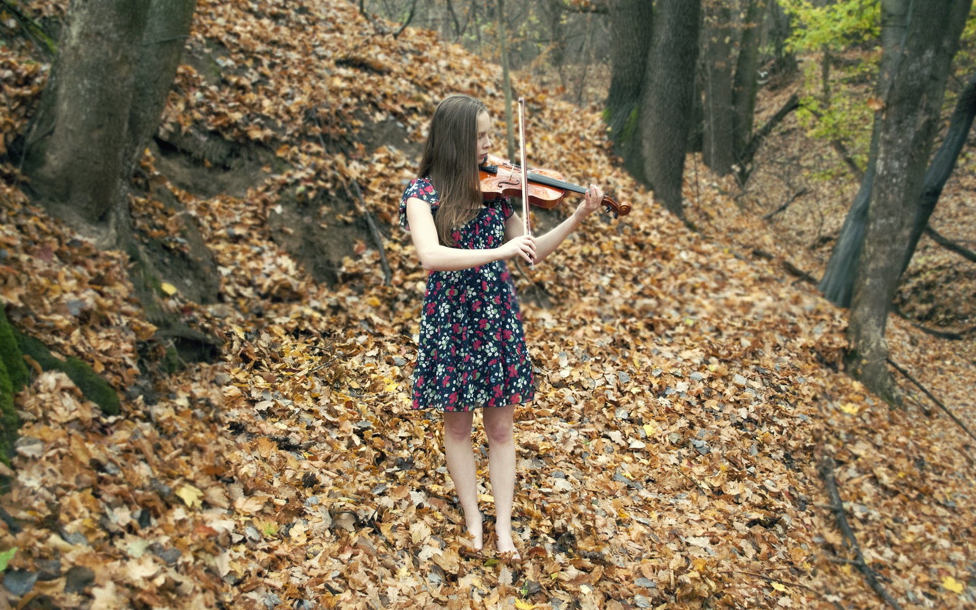 girl violin music autumn