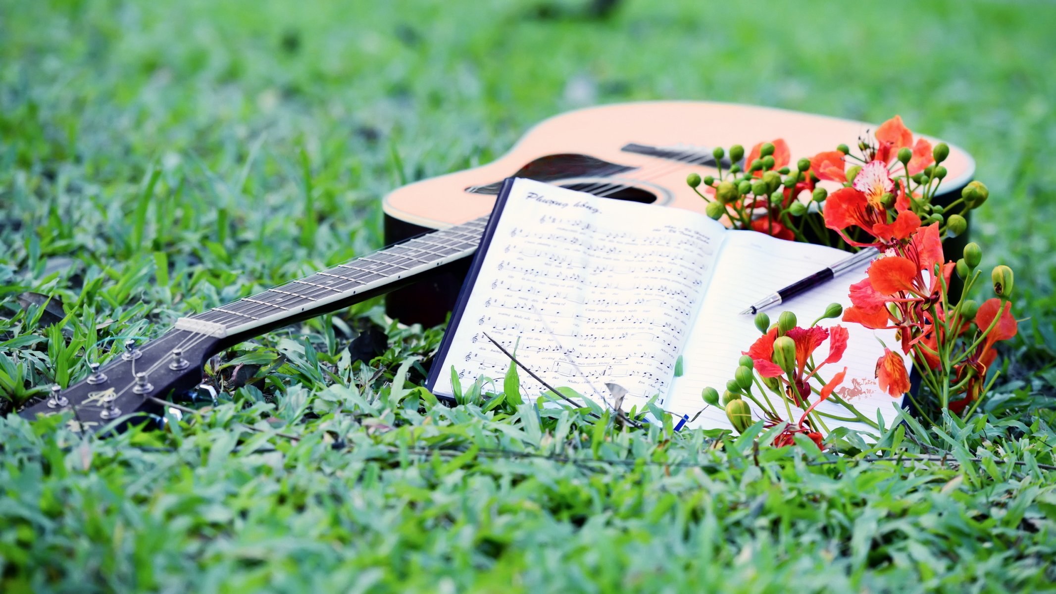 guitarra partituras música