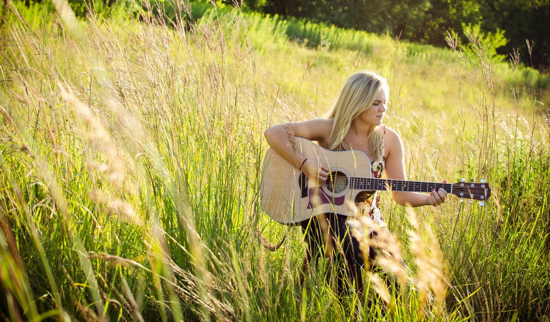 laura nicholson guitare musique