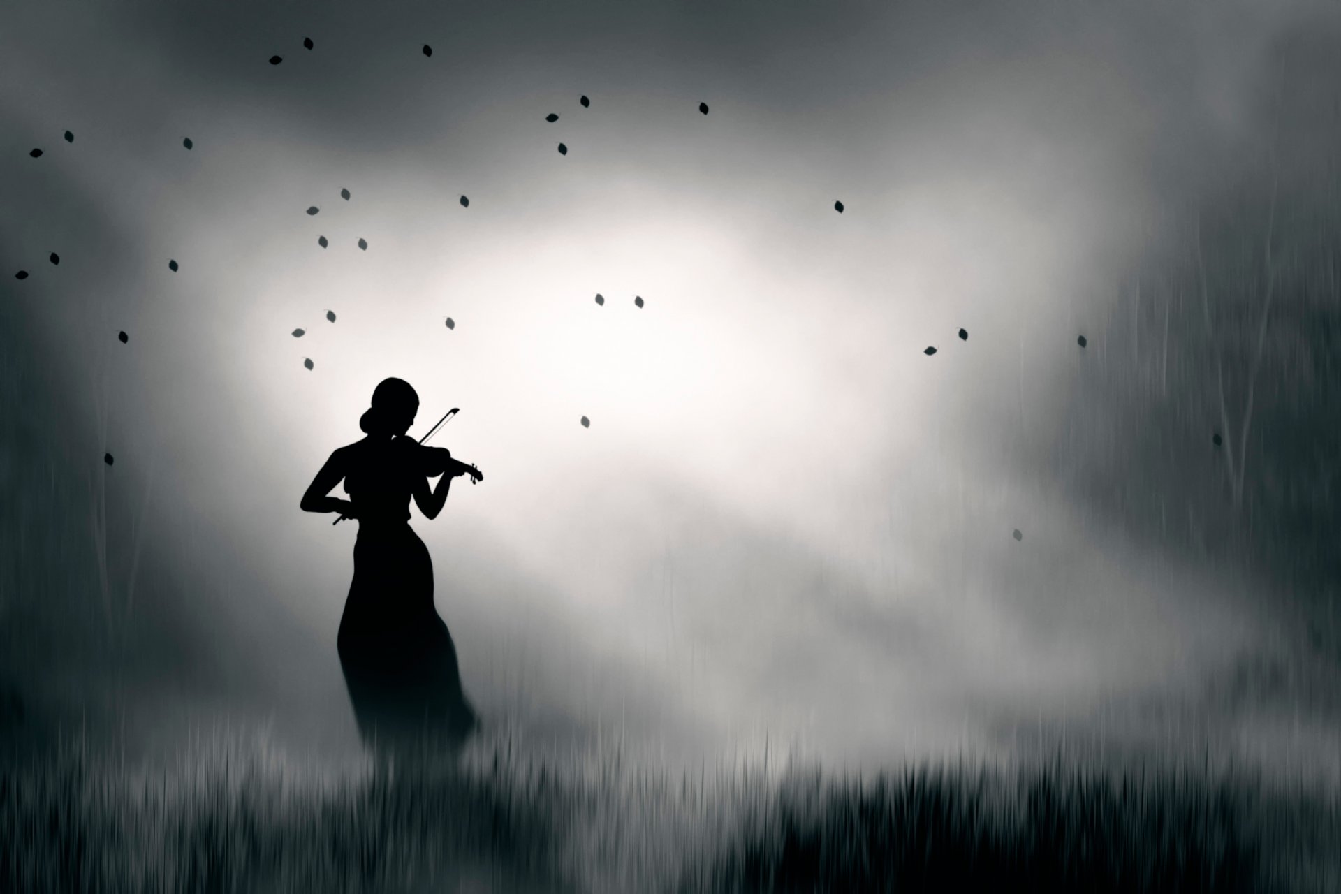 i play my lonely song silhouette violinist