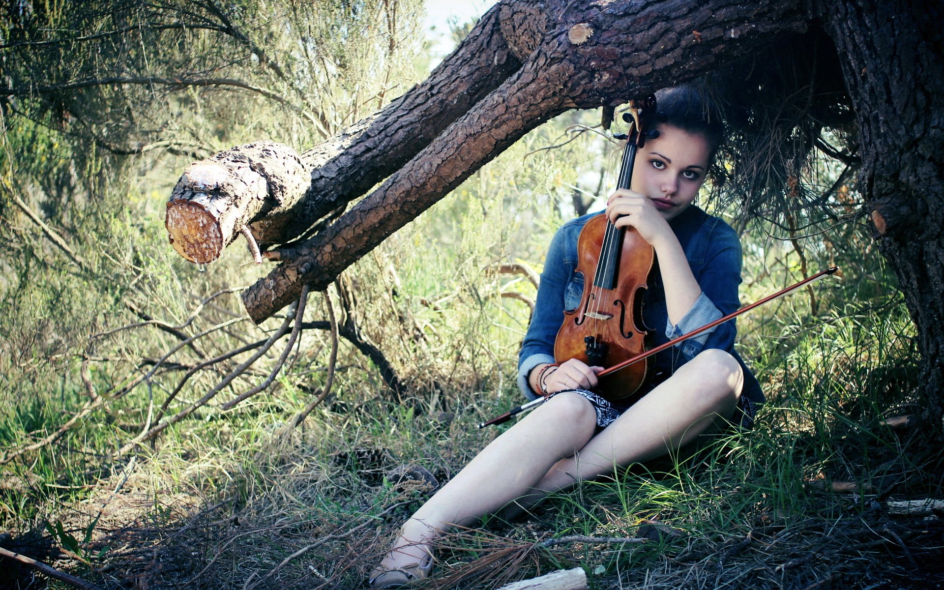 fille violon musique