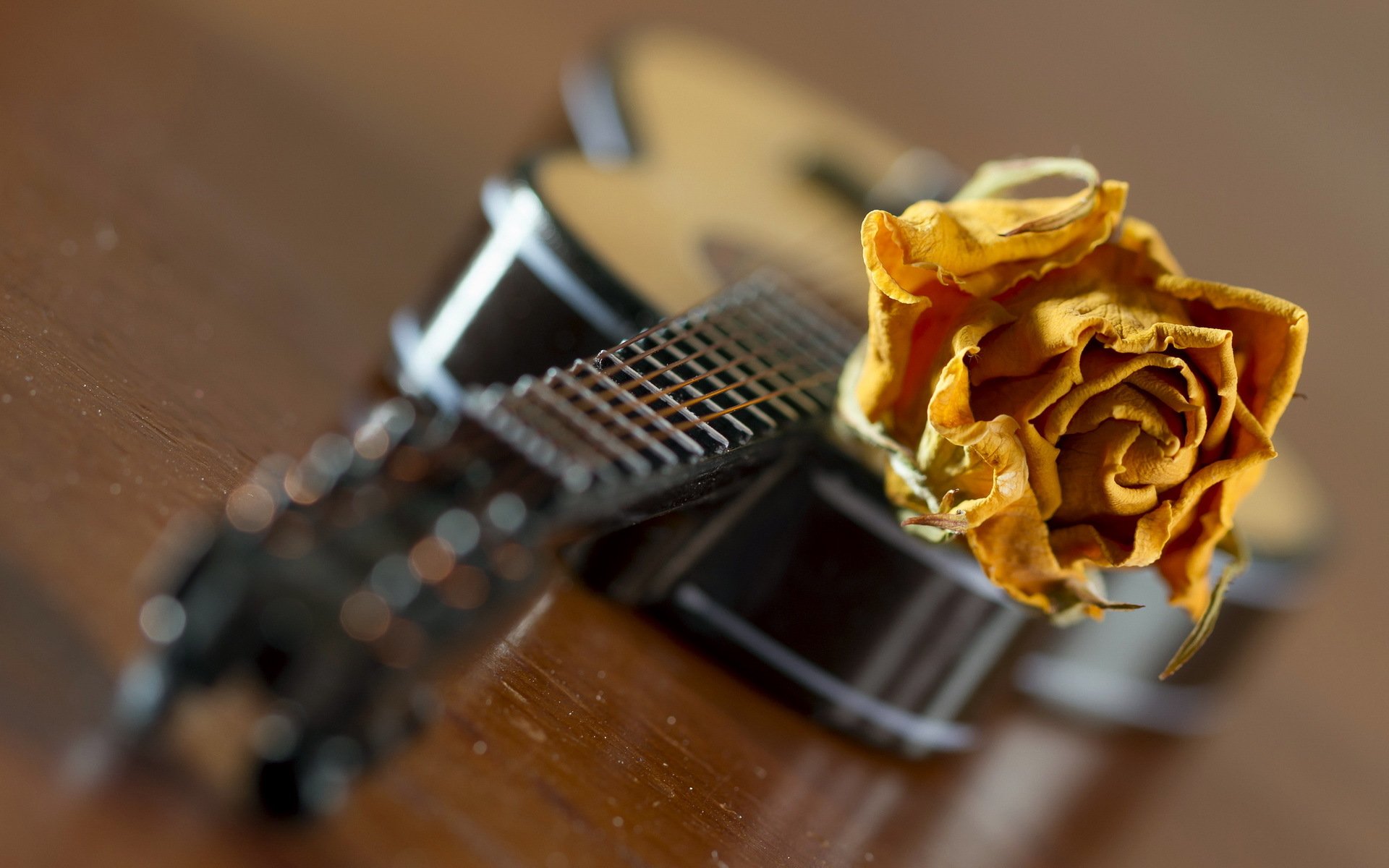 chitarra rosa musica