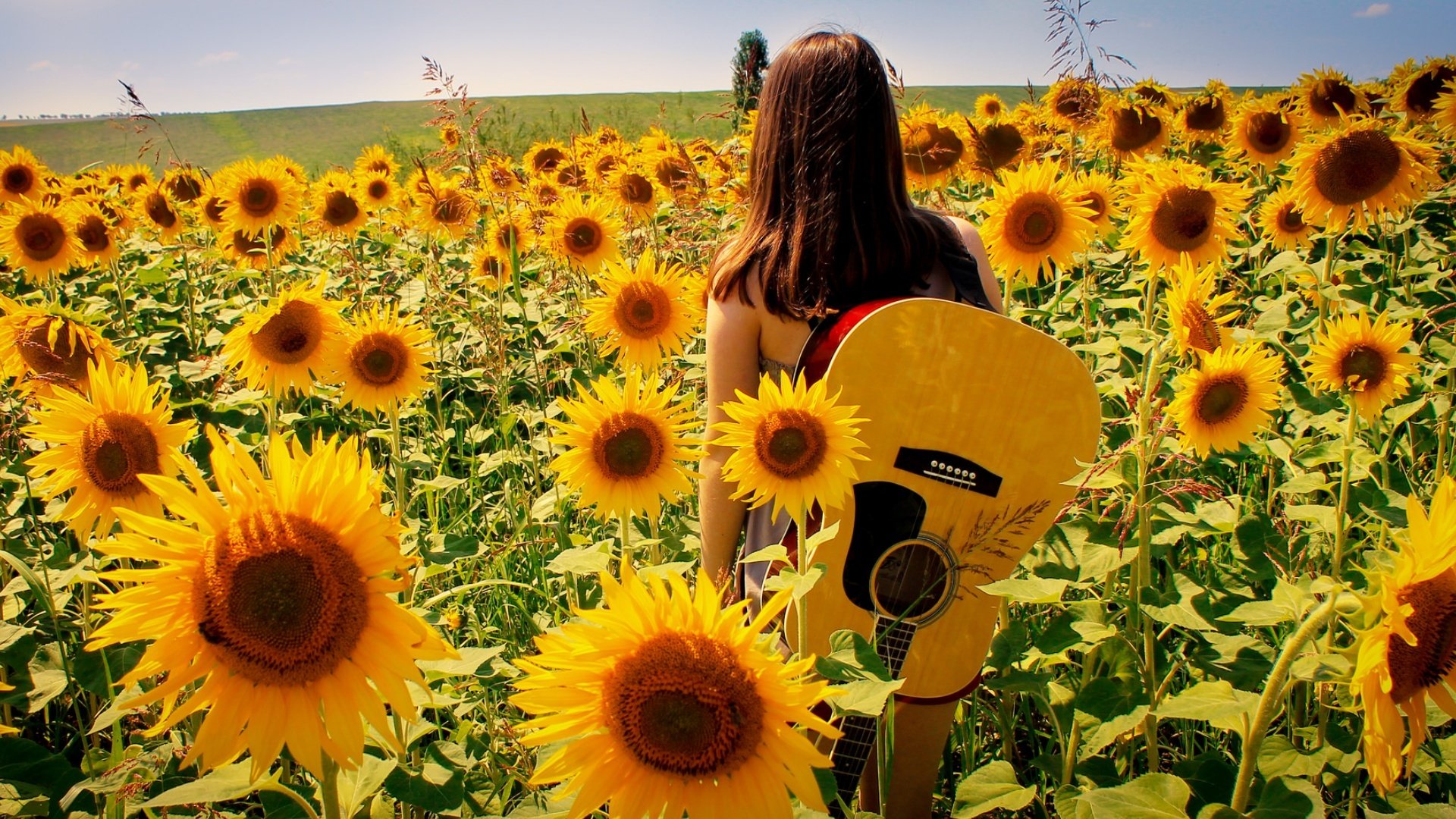 girl guitars music summer sunflowers nature