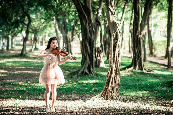 Desktop wallpaper girl with a violin