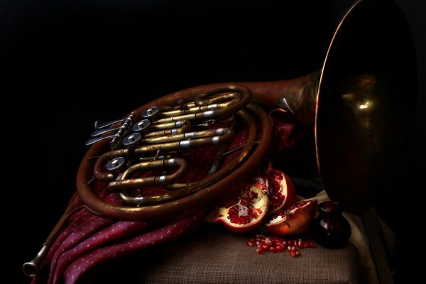 French horn lying next to a pomegranate