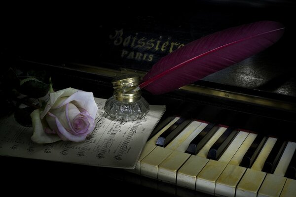 Rose avec plume se trouvent sur le clavier du piano