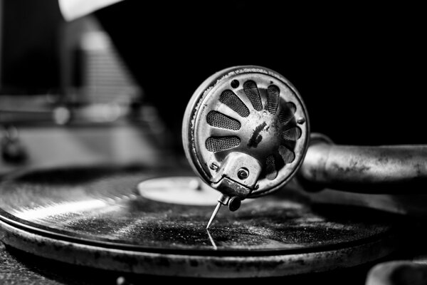 Black and white macro recording of a gramophone